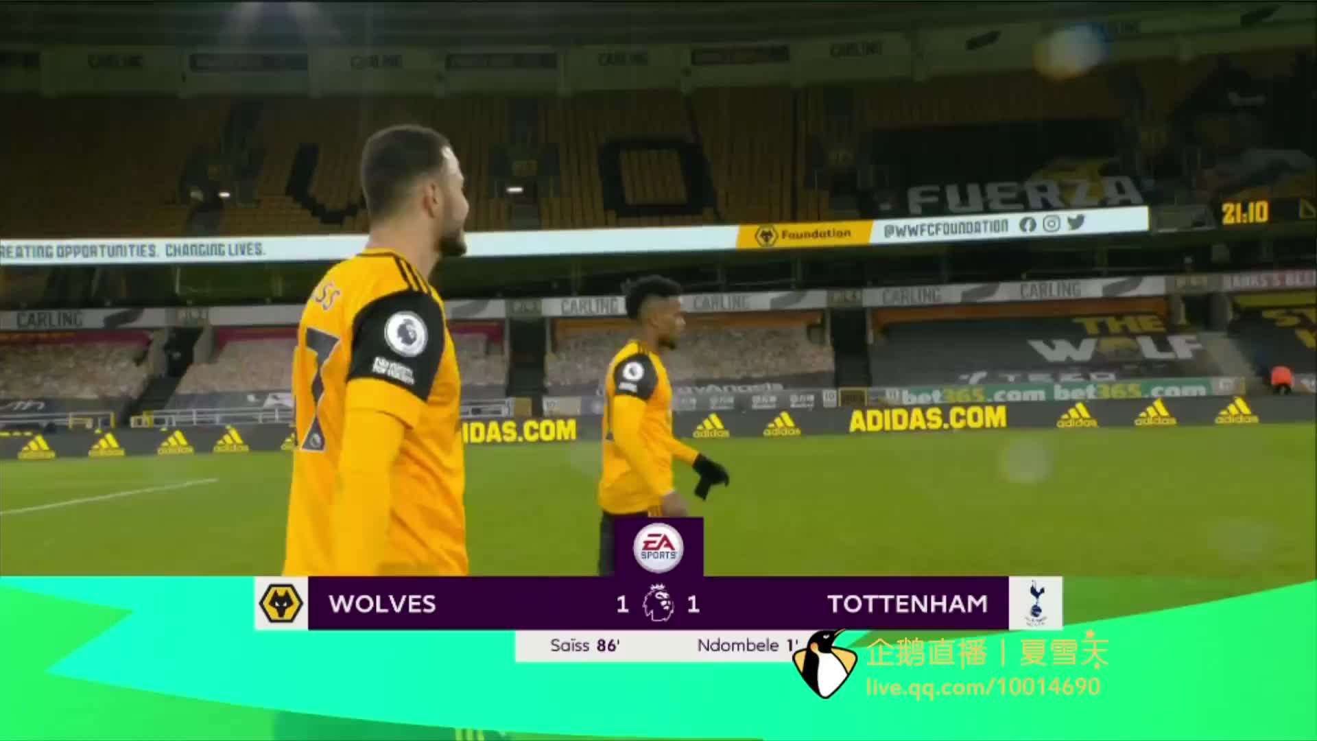 归和徐新的 归和徐新的